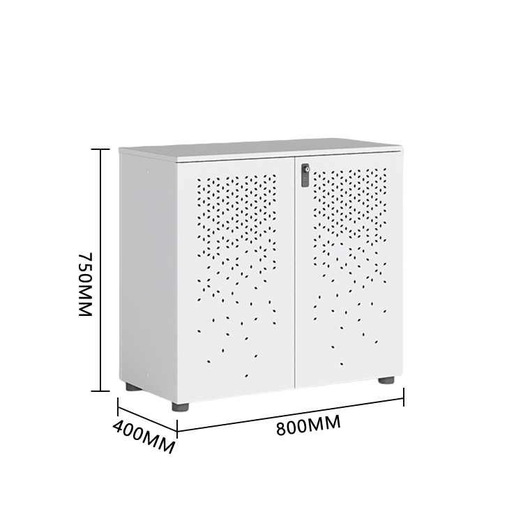 おしゃれなキャビネット　オフィスキャビネット　多目的な収納　役員用キャビネット　役員用　オフィス用　引き出し収納　大容量収納　鍵付き　ダイヤル錠付き　アジャスター　広い天板　小物整理収納　高品質　厚手　シンプル　簡素　高耐久性　お手入れやすい　レッドブラウン　カスタマイズ可能　BGCWG-P014